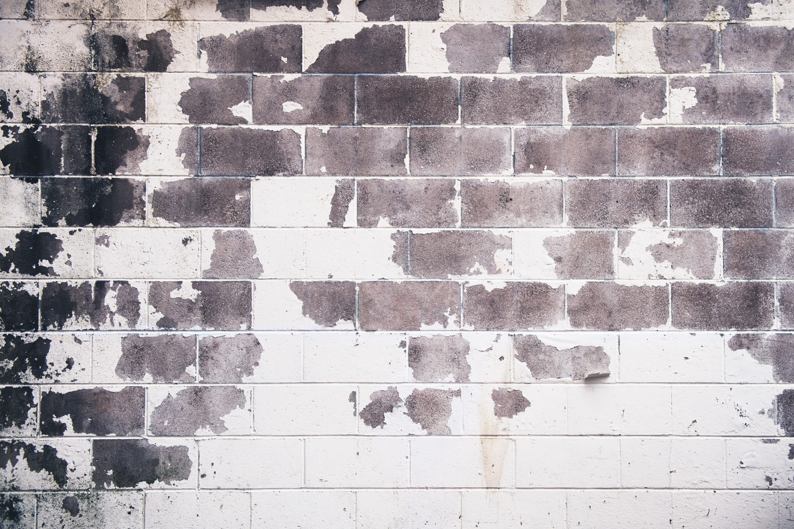 architecture-background-brick-936800