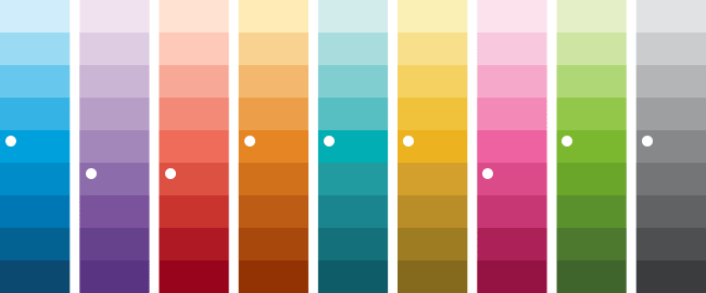 color_palette.png