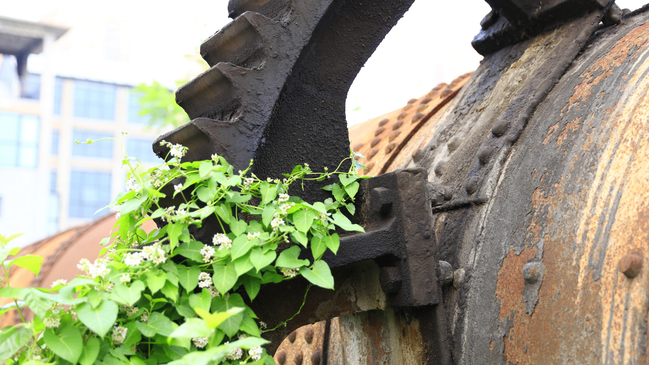 rusting equipment