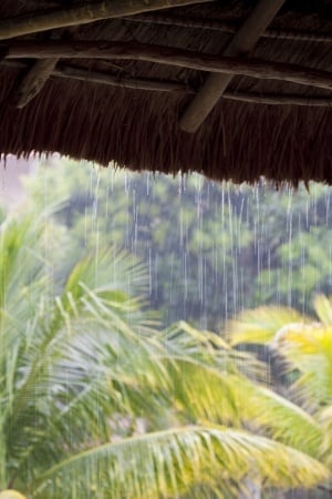 waterproofing-1-tropical.jpg