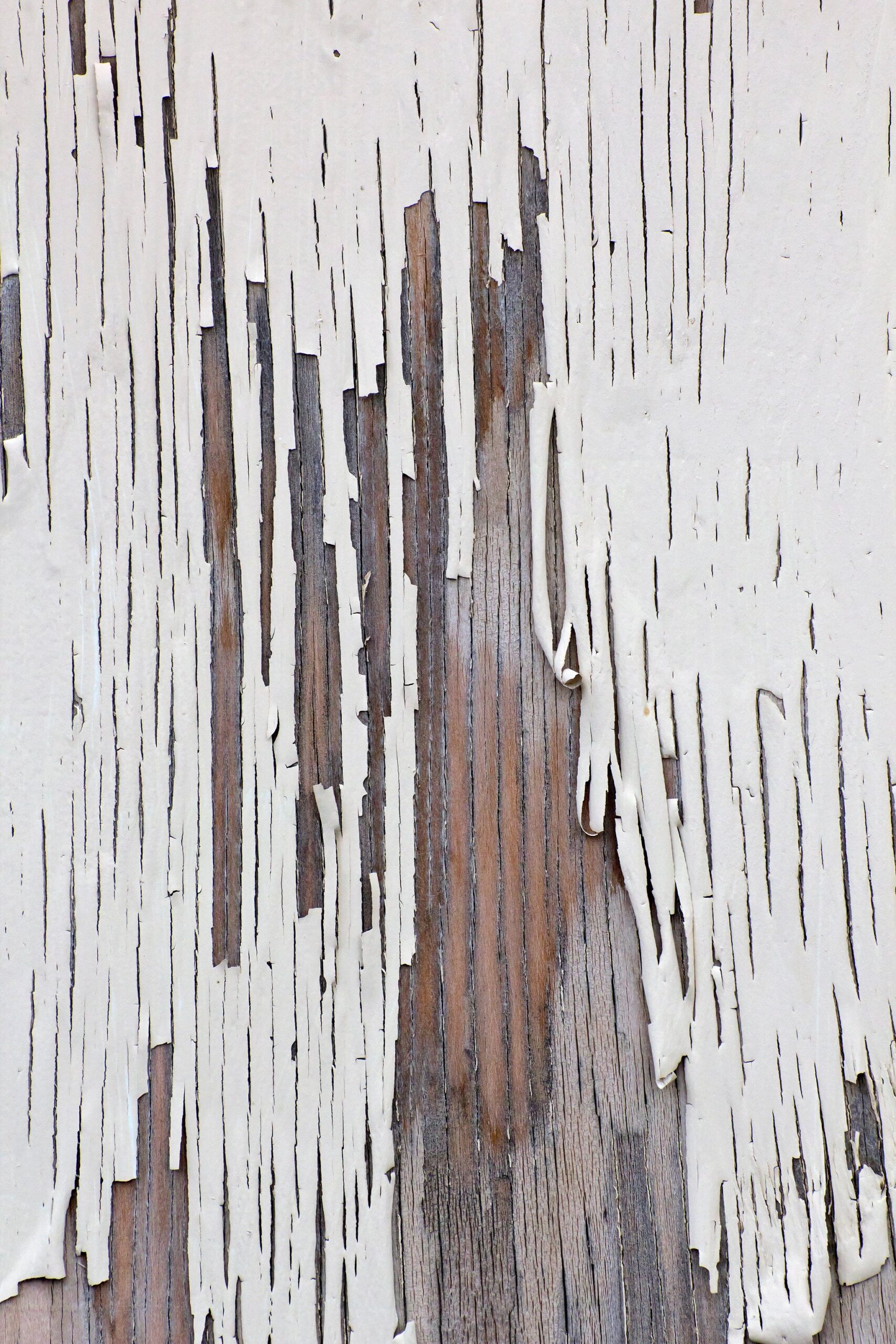 Chipped white paint on wood texture  Wood texture, Painting on wood,  Texture